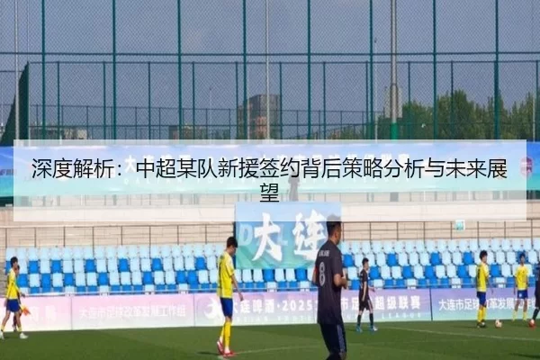 深度解析：中超某队新援签约背后策略分析与未来展望