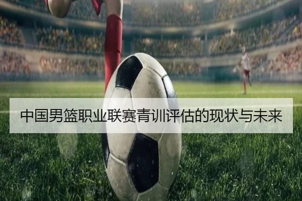中国男篮职业联赛青训评估的现状与未来
